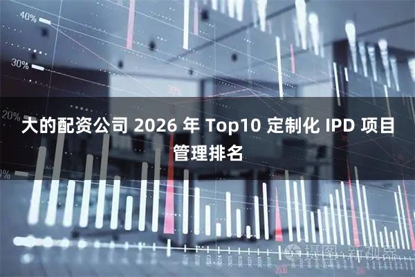 大的配资公司 2026 年 Top10 定制化 IPD 项目管理排名